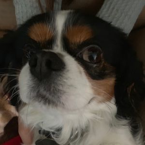 Meet your Posher, Esmeralda